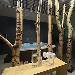 Brezovina Pohoda Orava Apartamento *