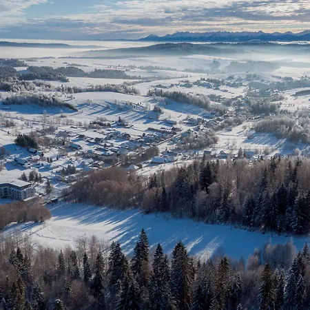 Brezovina Pohoda Orava