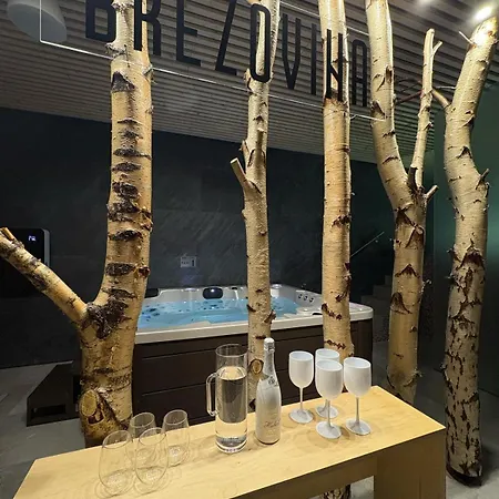 Brezovina Pohoda Orava Апартаменты *