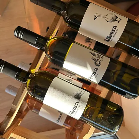 Brezovina Pohoda Orava Апартаменты *