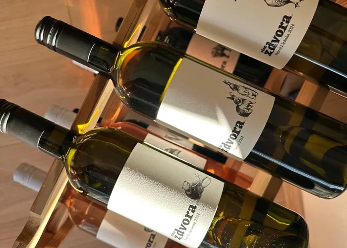 Brezovina Pohoda Orava Lejlighed *